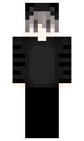 next minecraft skin