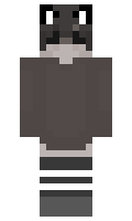 MrCleansNinja minecraft skin