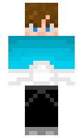 Vepik minecraft skin