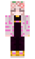 a780a19003a254 minecraft skin
