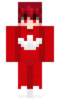 SlimeGamer minecraft skin