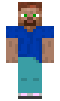 a798cd5bccb0ac minecraft skin