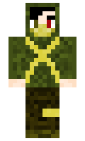 a79de79e14e02a minecraft skin