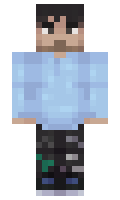 AviArga minecraft skin