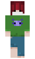 a7cbb0d24d3fe3 minecraft skin