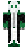 Nerd5005 minecraft skin
