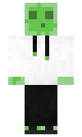 a7e2d19e0f64db minecraft skin