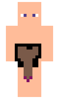 a7f8b96509284d minecraft skin