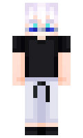 a816e50d425f2b minecraft skin