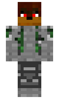 Nikon minecraft skin