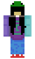 sofinkaa minecraft skin