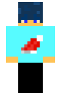 hooder79 minecraft skin