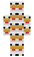 squidlyman minecraft skin