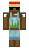 a88a0c014bc8f4 minecraft skin