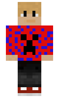 a8920b28ddfdc3 minecraft skin