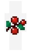 a8b13b91005b22 minecraft skin
