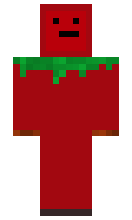 a8ea8ad049896d minecraft skin