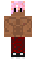 a8ecf1eb9d66a2 minecraft skin