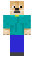 NetisBoy minecraft skin