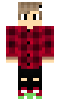 zekastoporom minecraft skin