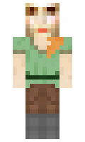 a91eec544d5113 minecraft skin
