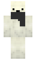 avxn minecraft skin