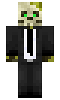 spin2093 minecraft skin