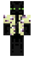 Didachus minecraft skin