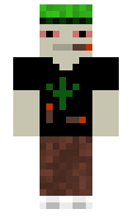 a9afbe2caea27d minecraft skin