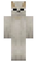 Kacper minecraft skin