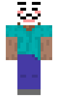 solamango minecraft skin