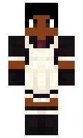 JaySonic2404 minecraft skin