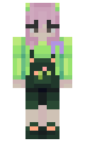 a9c7c28fadd55e minecraft skin