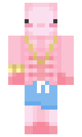 fololo minecraft skin