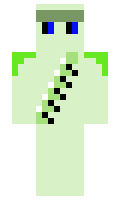 a9e8a98655a108 minecraft skin