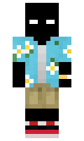 aa099dbb226a14 minecraft skin