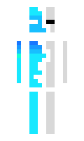 aa298986486910 minecraft skin