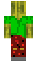 Kuzco minecraft skin