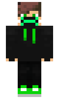 PetuSHOK minecraft skin