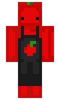 aa511c53e8ae37 minecraft skin