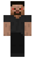 efSE minecraft skin