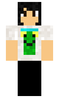 aa6f3f8dbce396 minecraft skin