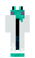 aa81f7e64f5ea7 minecraft skin