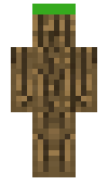 gamingguyperson minecraft skin