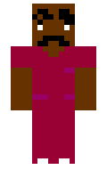 india minecraft skin