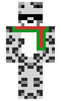 121 minecraft skin