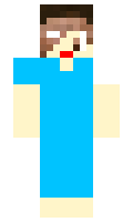 cava minecraft skin