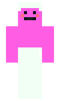 aad56adbd8b991 minecraft skin