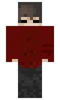 96332 minecraft skin