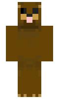 127 minecraft skin